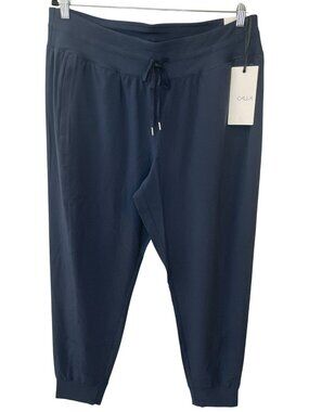 Calia Truelight Mid-Rise Jogger Pants Ardosia Slate Women's Size XL Long $98NWT